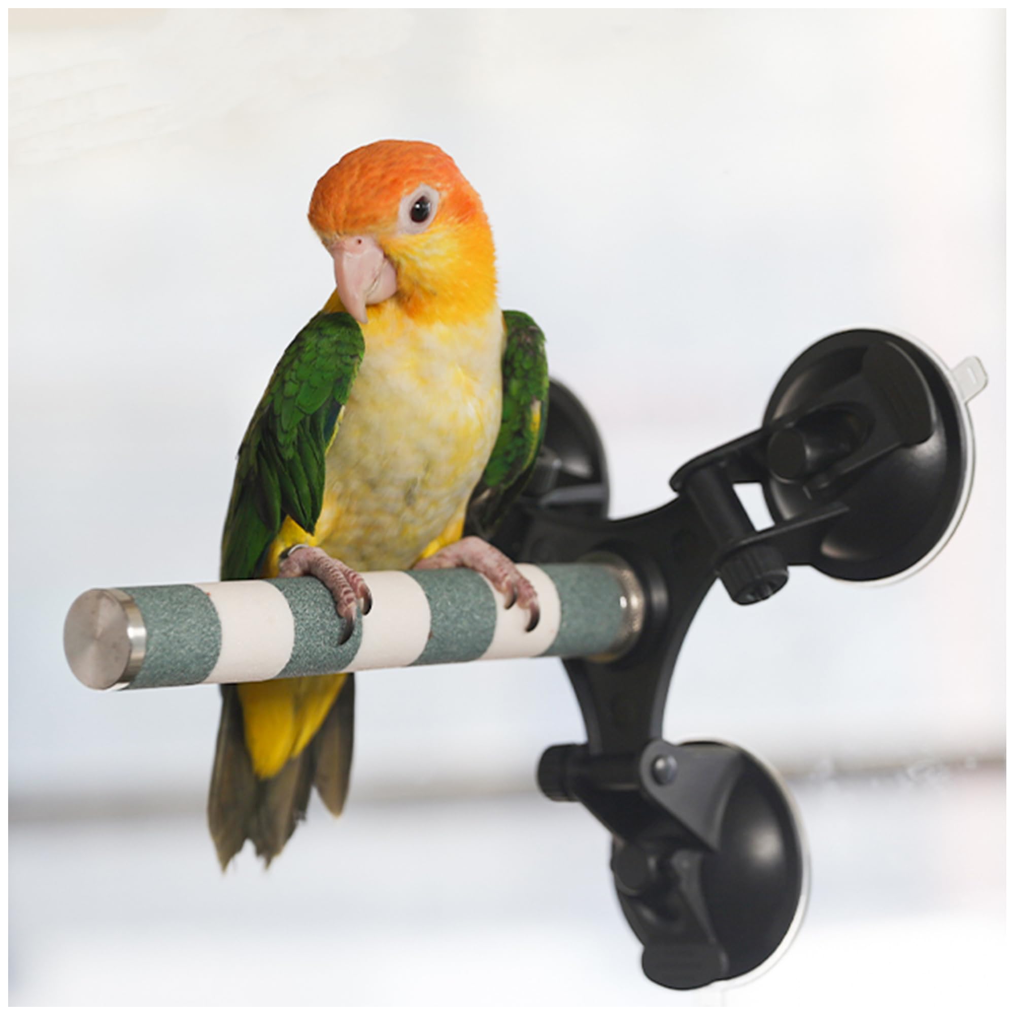 ナオタ様確認用大型インコオウム止まり木オウムスタンドパーチ ナオタ様確認用大型インコオウム止まり木オウムスタンドパーチ